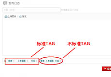 tag标签使员使用方法要注意那些事项！